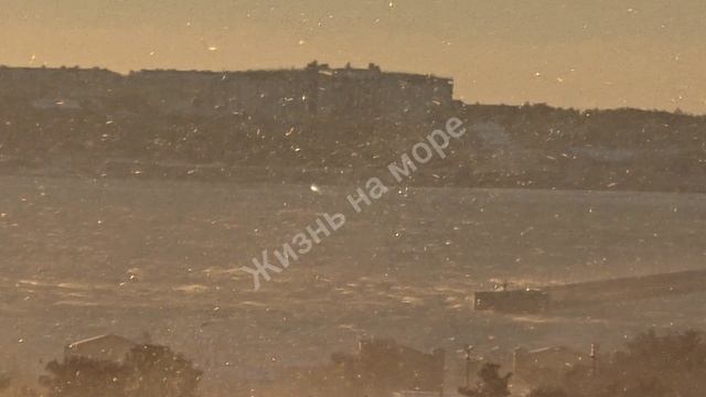 Коротко о погоде в Геленджике прямо сейчас. Северный ветер нежно гнёт арматуру 😁🥶 смотреть онлайн