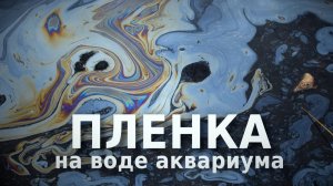 Пленка на воде аквариума, как убрать?