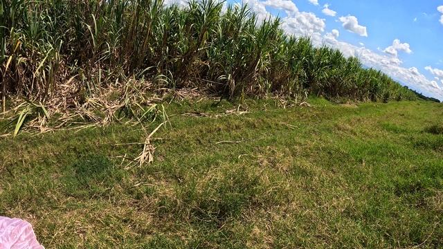 Полеты на параплане,Колумбия,18.01.2026,ч.11 смотреть онлайн