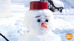 Как устроен снег. Доброе утро. Фрагмент выпуска от 19.01.2026