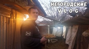 Капризная печка, НУТРИК-кусака. Потепление: надолго ли? 07.01.26