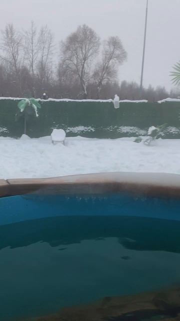 По традиции — в воду #Крещенскиекупания