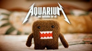 Коричневый налет в аквариуме, как задушигубить диатомовые водоросли?