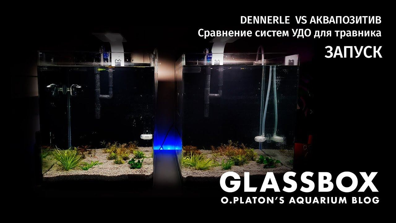 DENNERLE VS AКВАПОЗИТИВ / Сравнение систем УДО для травника. Запуск смотреть онлайн