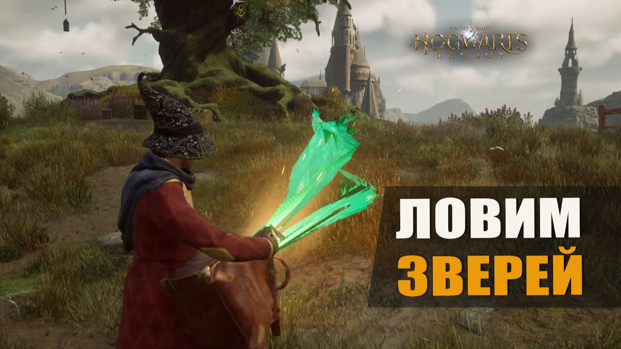ЛОВИМ ЗВЕРЕЙ — Hogwarts Legacy [#11]