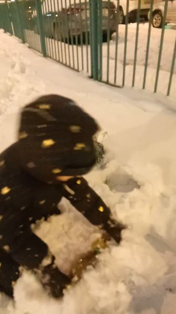 1000008601.mp4 смотреть онлайн