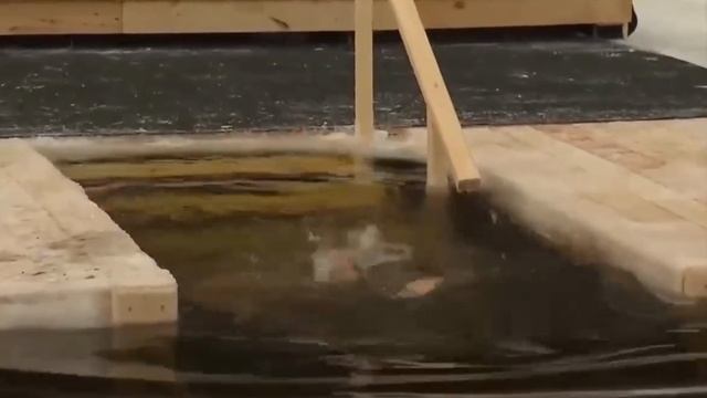 Владимир Путин окунулся в проруби на Крещение Господне! смотреть онлайн