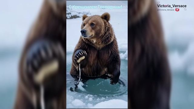 С Крещением Господним! #крещение смотреть онлайн
