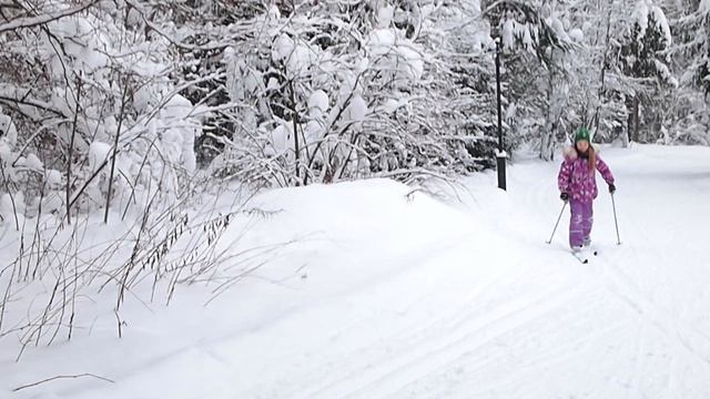 P1111039 смотреть онлайн