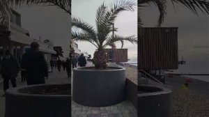 Чёрное море. 19 января 2026.