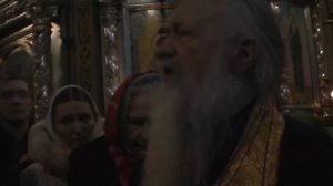 Поднимается заря новой жизни.