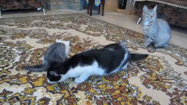 старое видео (2018)