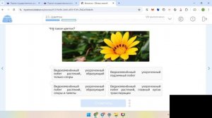 Использование ЦОК ребенком на компьютере