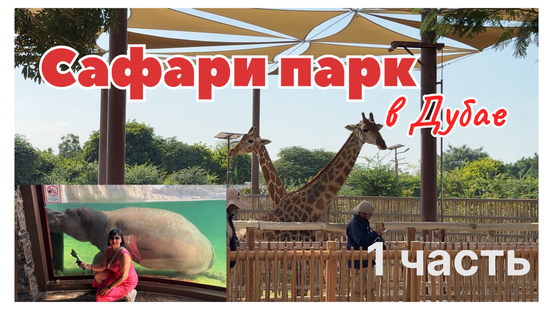 Сафари парк в Дубае, часть 1