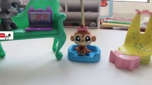 Разговорной видео или лпс