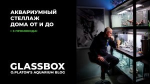 #Аквариумный #стеллаж дома от и до