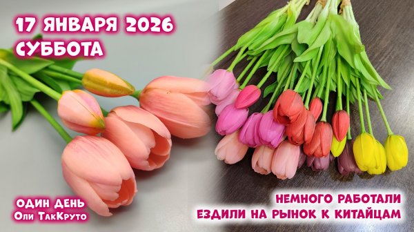 Потеплело. Ездили на рынок к нашим местным китайцам. 17 января 2026, день с Олей ТакКруто