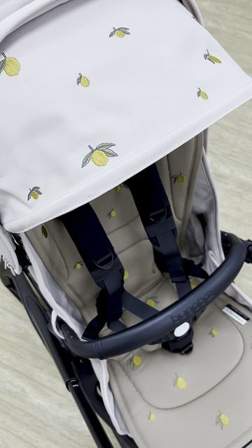 Отвечаем на самый популярный вопрос про лимитированную коляску Bugaboo X Konges SlØjd Dragonfly смотреть онлайн