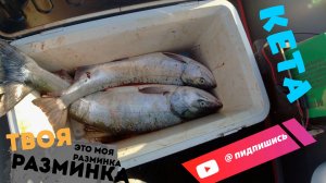РЫБАЛКА, КЕТА,🐟🔥 ПРИРОДА 30.09.25. НАХОДКА