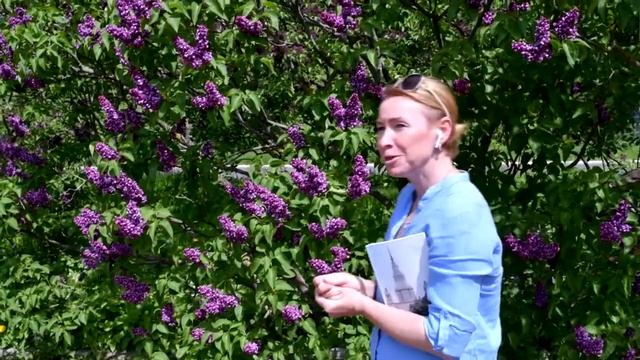 Сирень в Ботаническом саду МГУ Ч1 смотреть онлайн