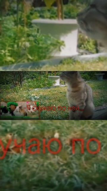 ... смотреть онлайн