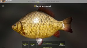 КАРАСЬ ЗОЛОТОЙ ТРОФЕЙ!!!СТАРЫЙ ОСТРОГ - РУССКАЯ РЫБАЛКА 4