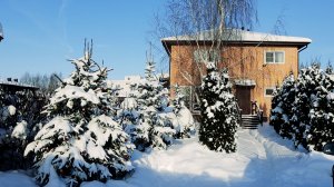 Зима в Подмосковном Саду