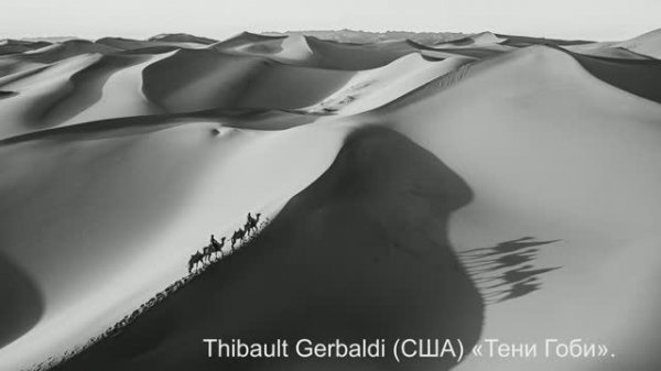 Об итогах World Photo Annual 2024