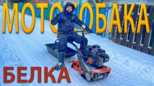 БЕШЕНАЯ БЕЛКА ИЛИ МОТОСОБАКА ДЛЯ ОДНОГО?!!! ПЕРВОЕ ВПЕЧАТЛЕНИЕ И ПОКАТУШКИ.