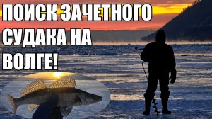 ЗАЧЕТНЫЕ СУДАКИ НА БАЛАНСИРЫ, достойные экземпляры и мощные поклевки, ну и как же без окуня