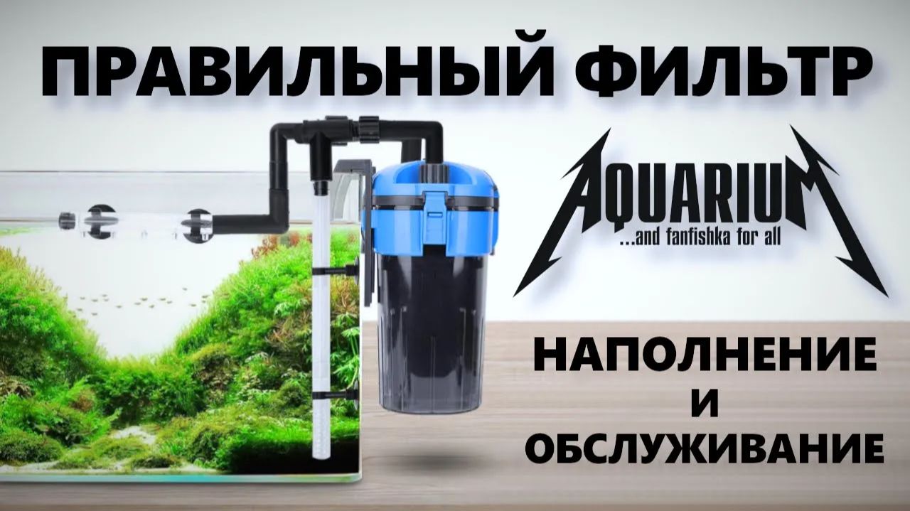 Правильный внешний фильтр для аквариума: наполнение и обслуживание смотреть онлайн