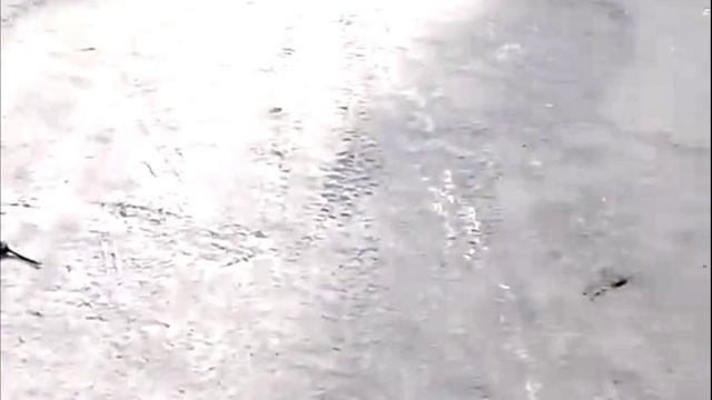 Крысы не выдержали 50 е Иркутские морозы