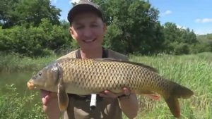 ВОТ ЭТО ОНИ ДАВЯТ И ТАЩАТ В КАМЫШ! Рыбалка на поплавок. Ловля сазана. Ловля карпа