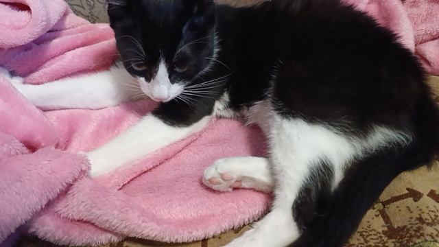 Мухамор в релаксе смотреть онлайн