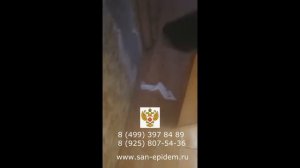 Обработка от тараканов холодным туманом