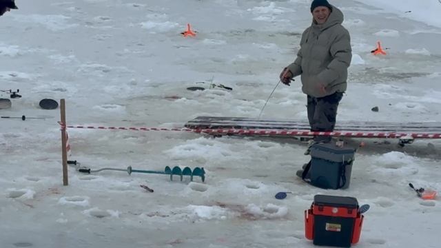 3583.mp4 смотреть онлайн