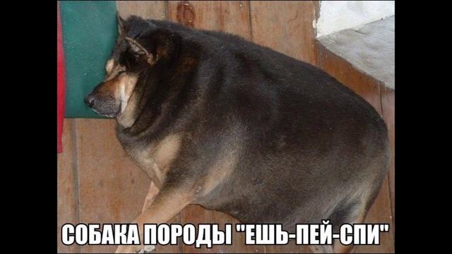 Разговоры с коллекторами 111 смотреть онлайн