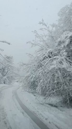 В Абхазии зима тоже не спит...
