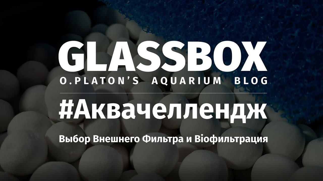 #Аквачеллендж Вэ - Выбор Внешнего фильтра и Bio фильтрация в травнике смотреть онлайн