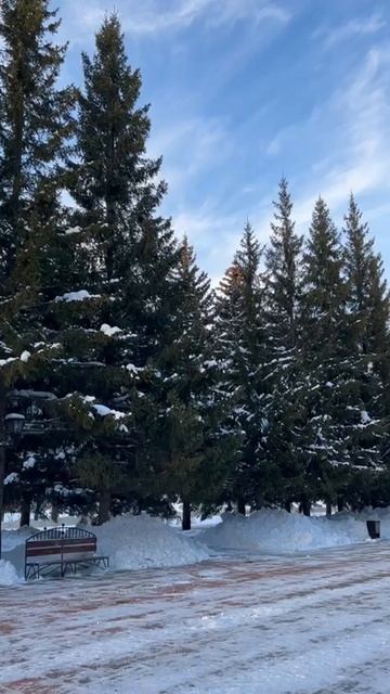 Город просыпается... смотреть онлайн