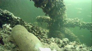 1000008152.mp4Волга.19.01.2026г.