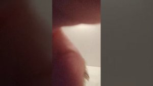 ответы на вопросы