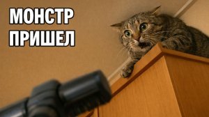 Смех до слёз: лучшие приколы №231