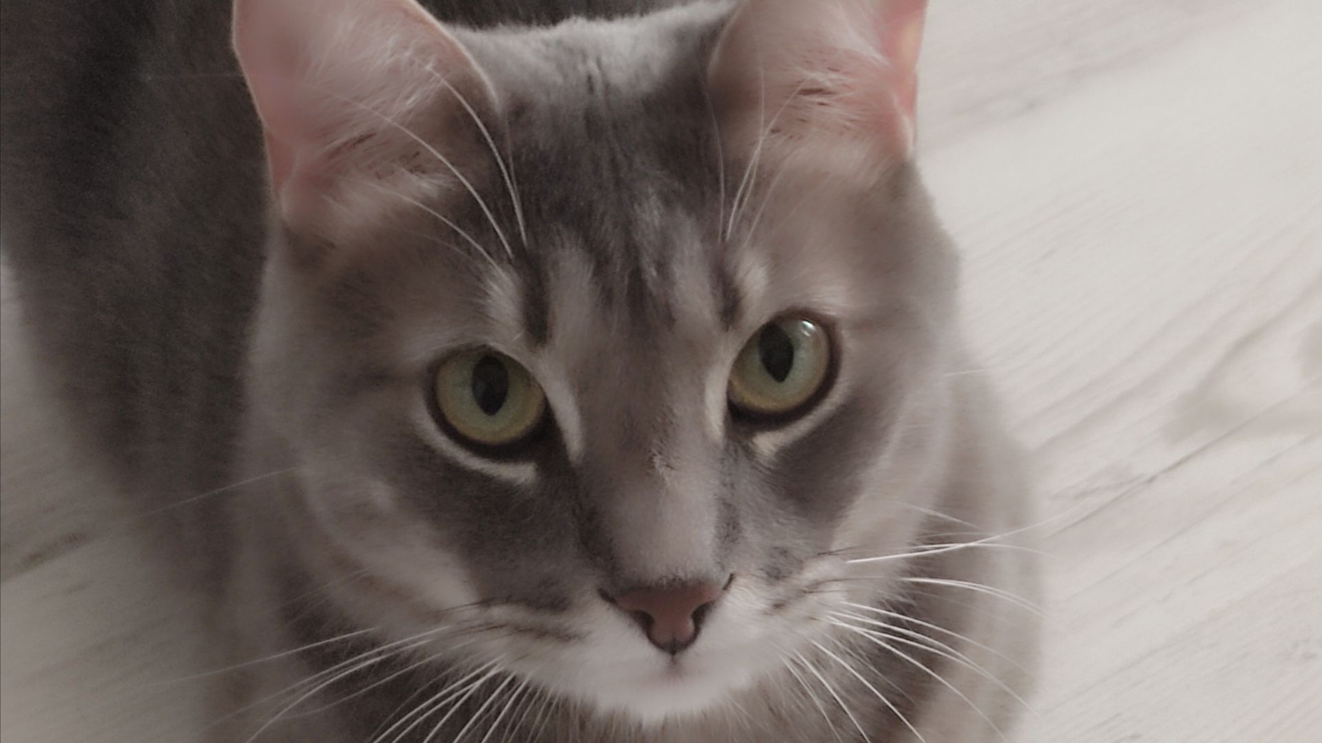 Новости канала Ваня, Арина и алмазная картина 😁