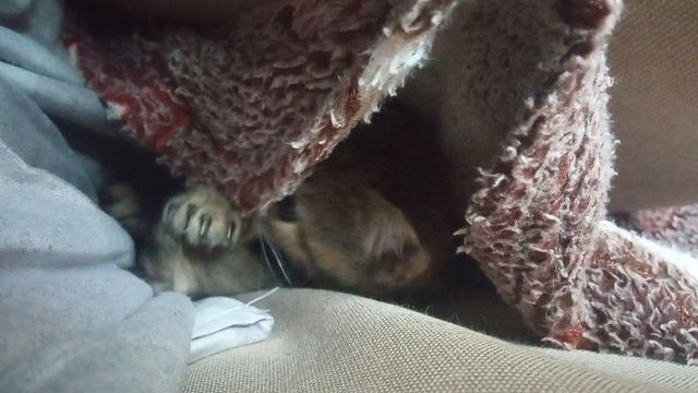 если ты будешь баловаться я на тебя ядерку запущю