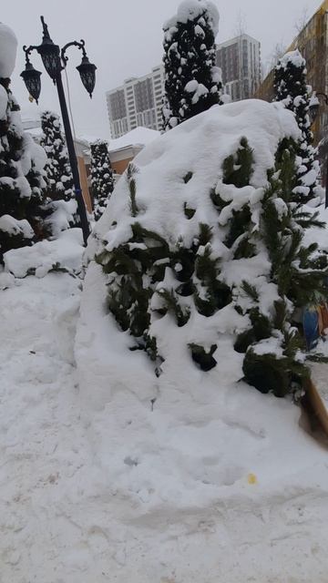 Крещение Гребневская церковь💥