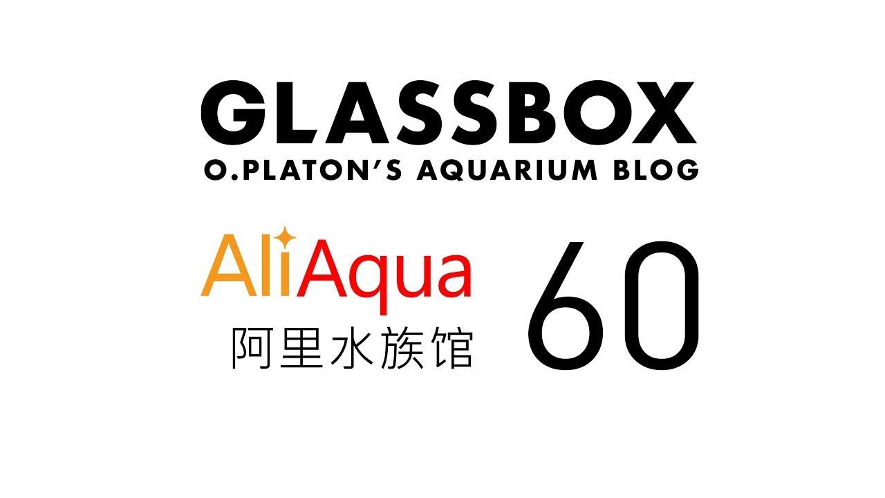 Aliaqua 60 - А так ли плох китай? смотреть онлайн