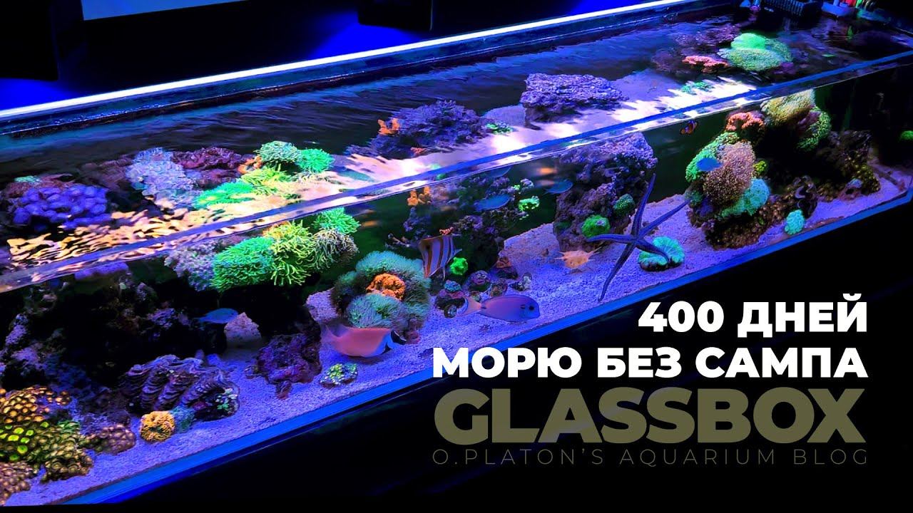 400 дней морю без сампа. смотреть онлайн