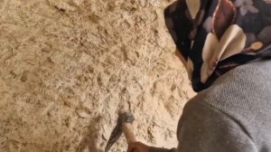 Кочевая жизнь# Иран #141 часть