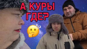 А КУРЫ ГДЕ? ОЛЬГА УРАЛОЧКА LIVE. ОБЗОР.